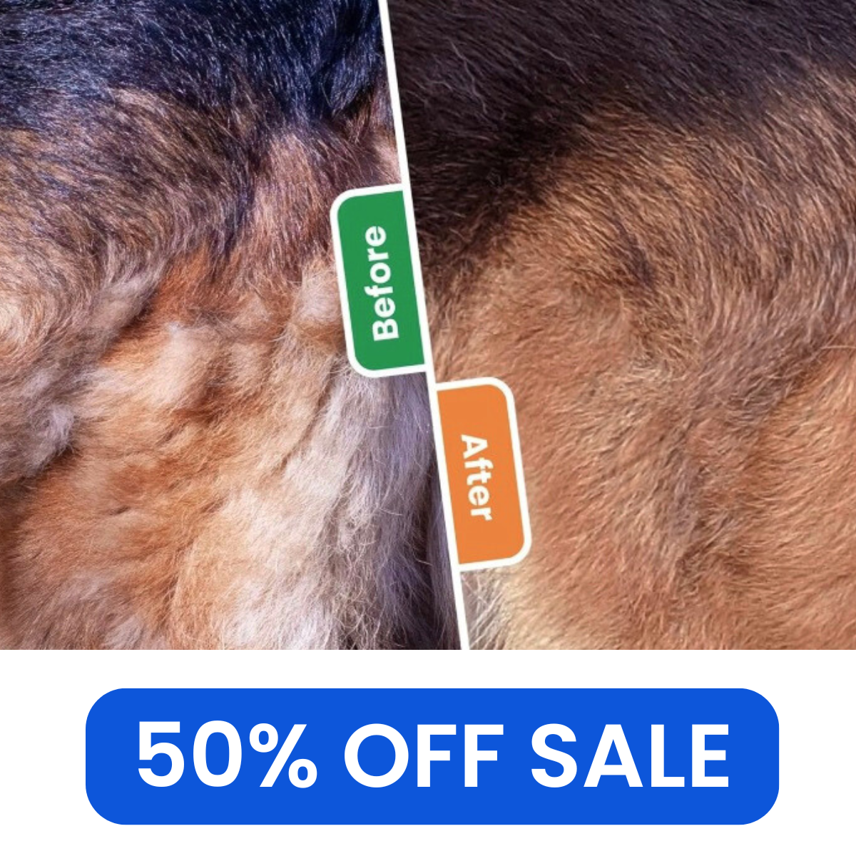 3-in-1 Pet Hair Removal Brush – Grooming Tool for Dogs & Cats
