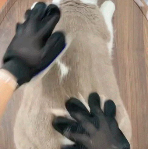 Pet Hair Removal Glove – Reusable Grooming Mitt for Dogs & Cats