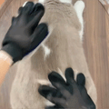 Pet Hair Removal Glove – Reusable Grooming Mitt for Dogs & Cats