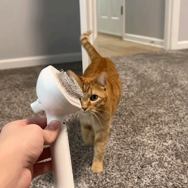 Magic Grooming Brush – 3-in-1 Self-Clean Pet Hair Remover for All Breeds & Coat Types